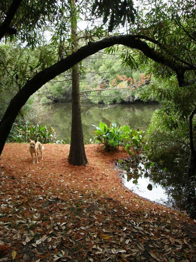 Pilmaiquen Villa Riachuelo Luaran gambar