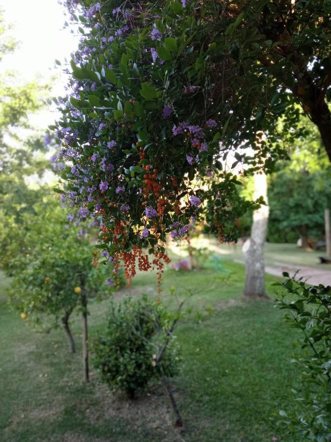 Pilmaiquen Villa Riachuelo Luaran gambar