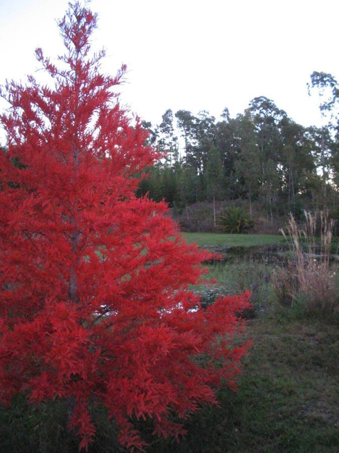 Pilmaiquen Villa Riachuelo Luaran gambar