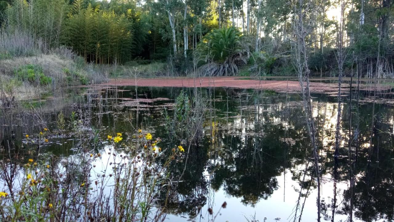 Pilmaiquen Villa Riachuelo Luaran gambar