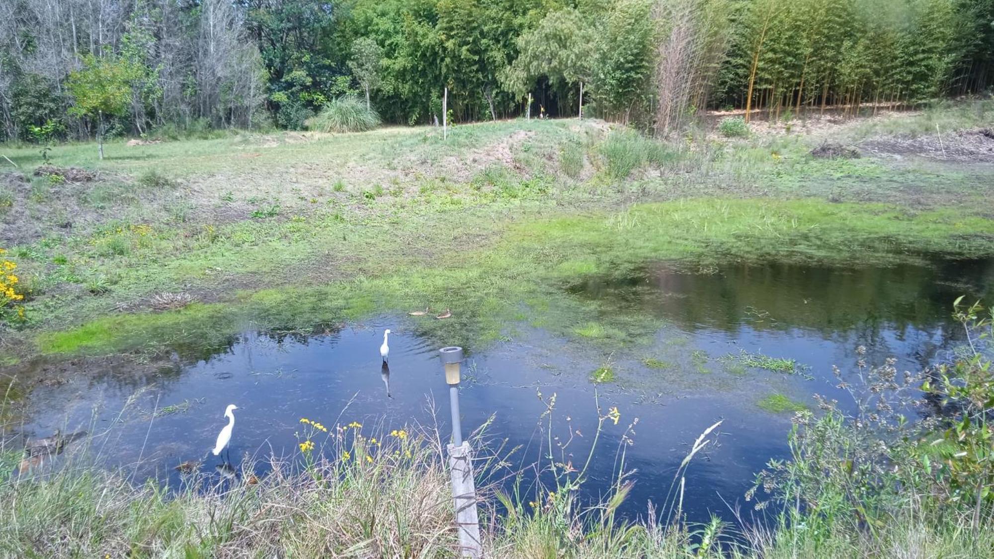 Pilmaiquen Villa Riachuelo Luaran gambar
