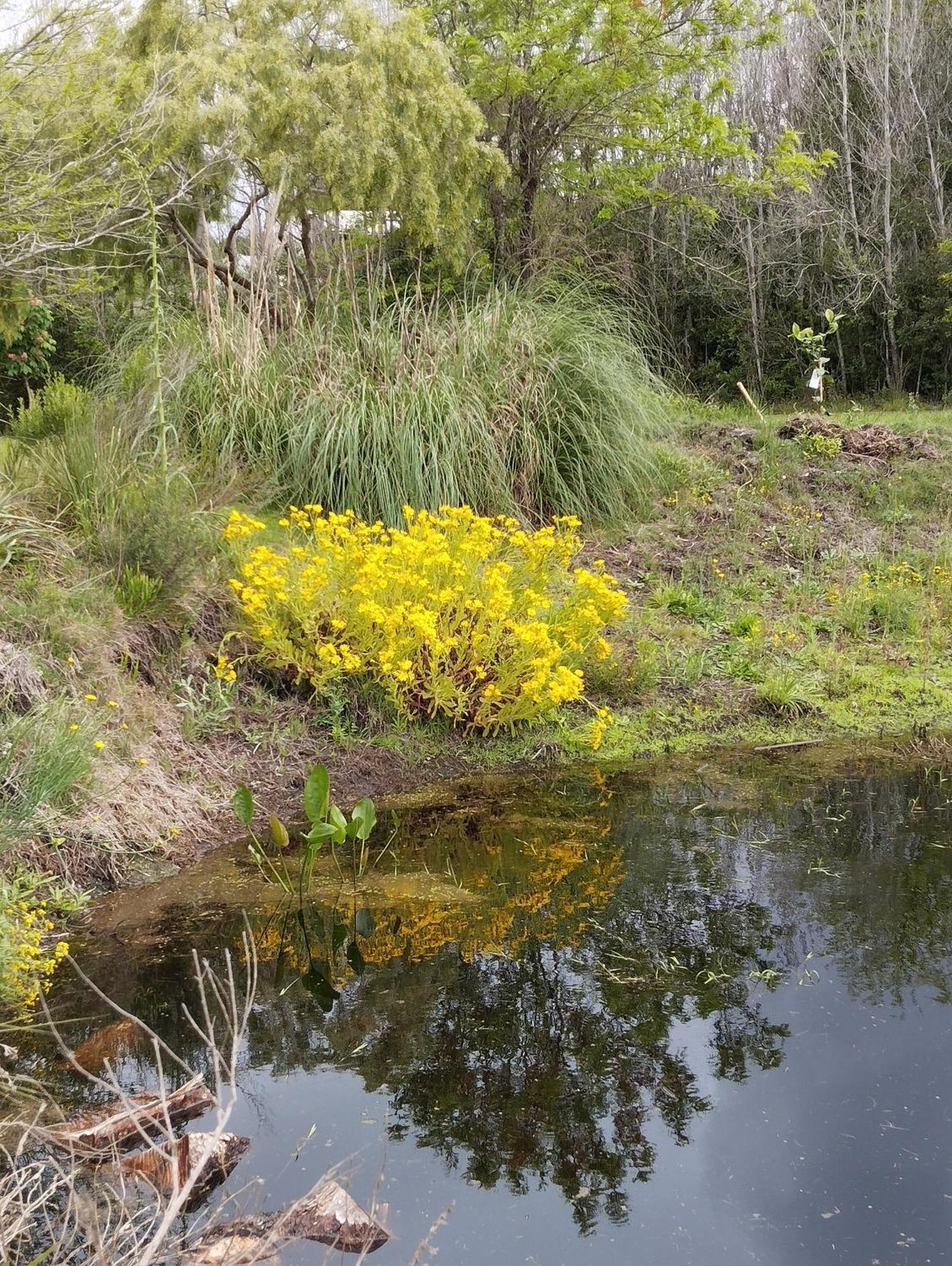 Pilmaiquen Villa Riachuelo Luaran gambar