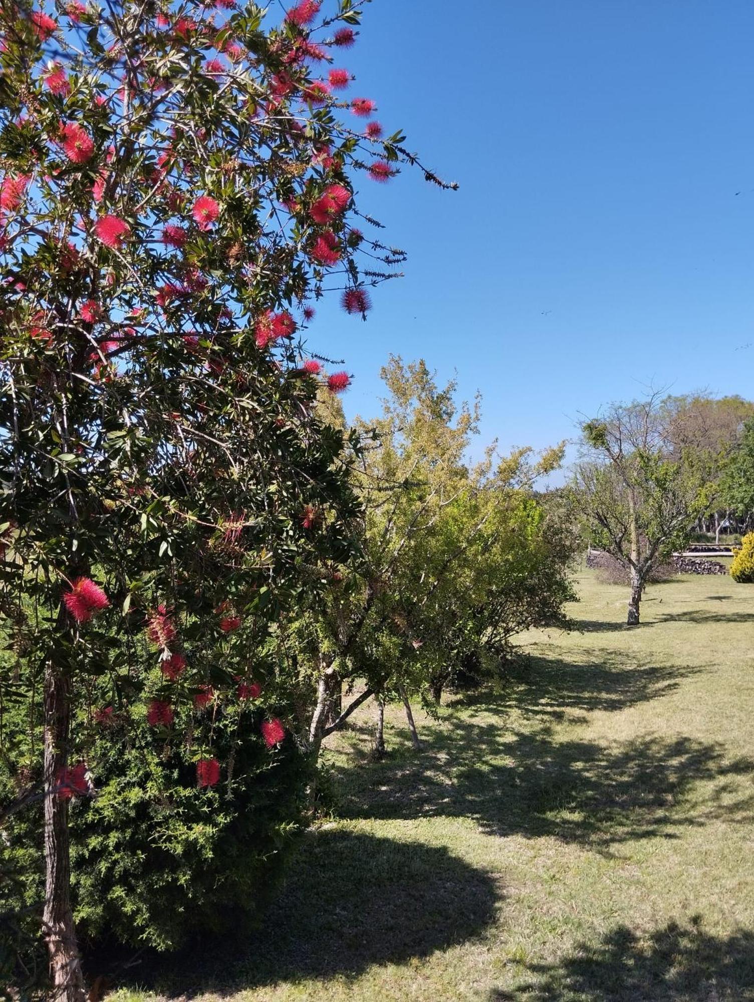 Pilmaiquen Villa Riachuelo Luaran gambar